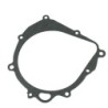Joint de carter d'allumage Quads Arctic cat DVX 400  3409-023 - Raven Industries RAV-440-020