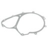 Joint de carter d'allumage Quads Can-am DS 650 Baja X 711250920 - Raven Industries RAV-440-025