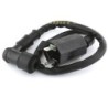 Bobines d'allumage Quads Suzuki LT 80 QuadSport  Nc - Raven Industries RAV-470-008