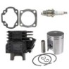 Kit Cylindre piston Quads Polaris Scrambler 90  0450007 - Raven Industries RAV-550-006
