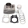 Kit Cylindre piston Quads Honda TRX 350 FourTrax  Nc - Raven Industries RAV-550-008