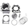 Kit Cylindre piston Quads Yamaha Rhino 700 YXR  1S3-11310-01-00 - Raven Industries RAV-550-010