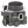 Cylindre standard 95mm Quads Yamaha Raptor 660  5KM-11310-00-00 - Raven Industries RAV-550-101
