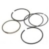 Segment piston Quads Yamaha Warrior 350  4WU-11310-00-00 1UY-11310-03-00 - Raven Industries RAV-550-500