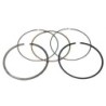 Segment piston Quads Yamaha Wolverine 350 YFM 5YT-11310-00-00 - Raven Industries RAV-550-500