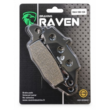Plaquettes de frein Kawasaki VN 1600 Mean Streak Arrière 43082-1283 - EBC FA231 - Raven 100-124