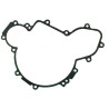 Joint de carter d'allumage Quads Polaris RZR 900  5813505 - Raven Industries RAV-440-031