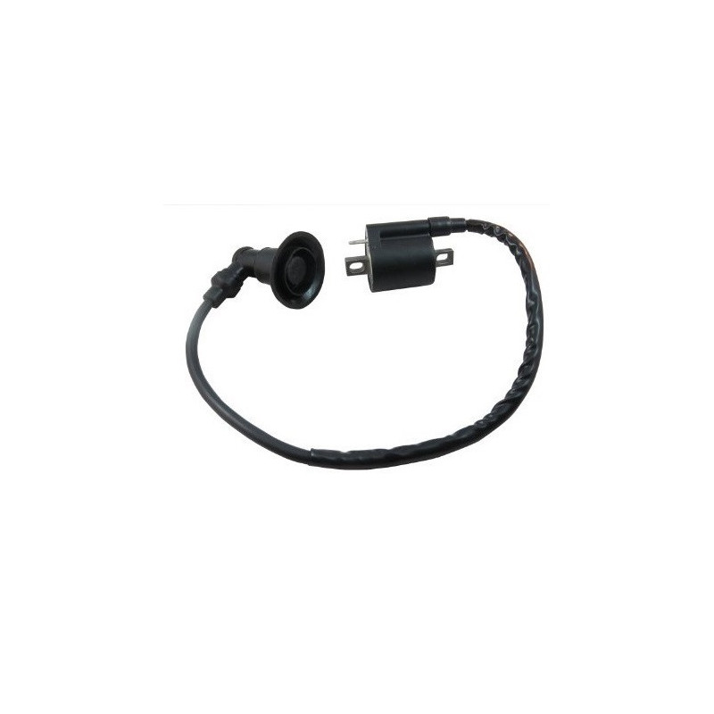 Bobines d'allumage Quads Polaris Scrambler 50  0450753 - Raven Industries RAV-470-003