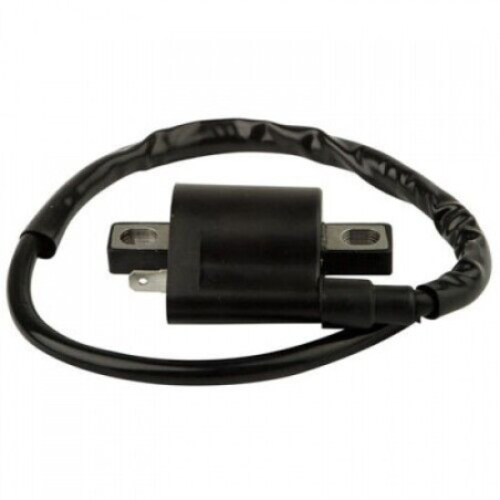 Bobines d'allumage Quads Yamaha YFM Wolverine 450  Nc - Raven Industries RAV-470-006