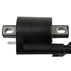 Bobines d'allumage Quads Yamaha Wolverine 450  Nc - Raven Industries RAV-470-006