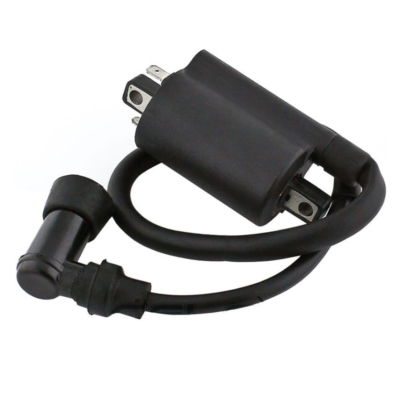 Bobines d'allumage Motos Yamaha XV 250 Route 66 v-star Virago Nc - Raven Industries RAV-470-010