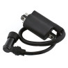 Bobines d'allumage Motos Yamaha XV 250 Route 66 v-star Virago Nc - Raven Industries RAV-470-010