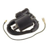 Bobines d'allumage Quads Yamaha YFM Moto-4 225  1UY-82310-41-00 - Raven Industries RAV-470-013