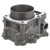 Cylindre standard 95mm Quads Yamaha Raptor 660  5KM-11310-00-00 - Raven Industries RAV-550-101