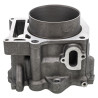 Cylindre standard 95mm Quads Yamaha Rhino 660  3YF-11310-01-00 - Raven Industries RAV-550-101