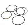 Segment piston Quads Yamaha Raptor 350 YFM 5YT-11310-00-00, 4WU-11310-00-00 - Raven Industries RAV-550-500