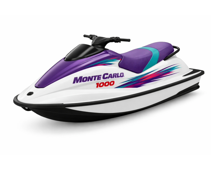 Arctic-cat Monte Carlo 1000