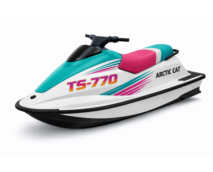 Arctic-cat TS 770