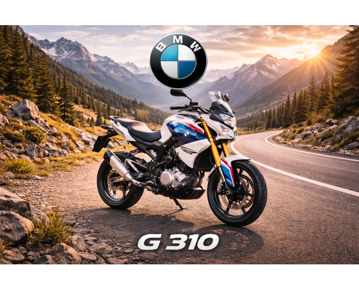Bmw G 310