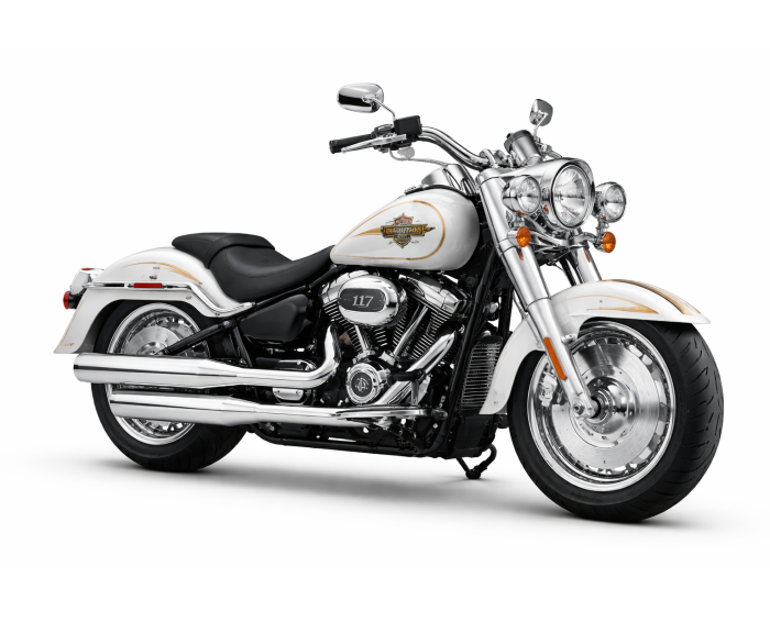 Harley-davidson Softail Fat Boy Shrine