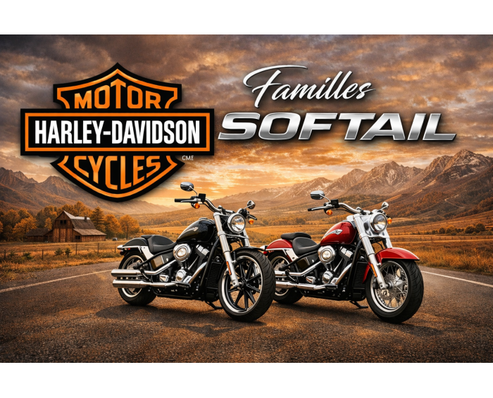 Harley-davidson Familles Softail