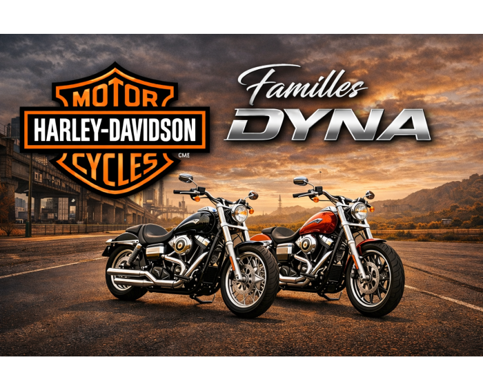 Harley-davidson Familles Dyna