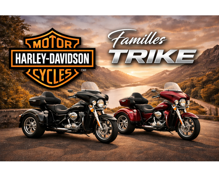 Harley-davidson Familles Trike