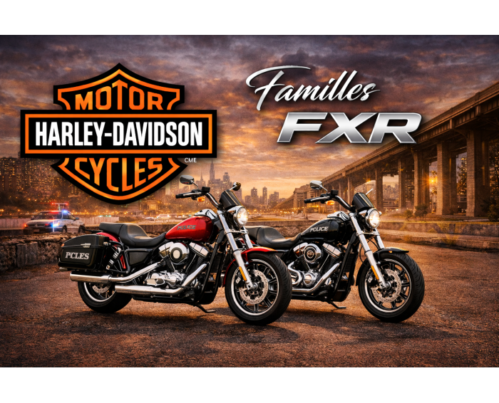 Harley-davidson Familles FXR