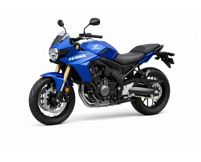 Honda Hawk 1100
