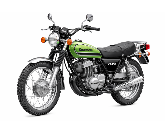 Kawasaki KT 250