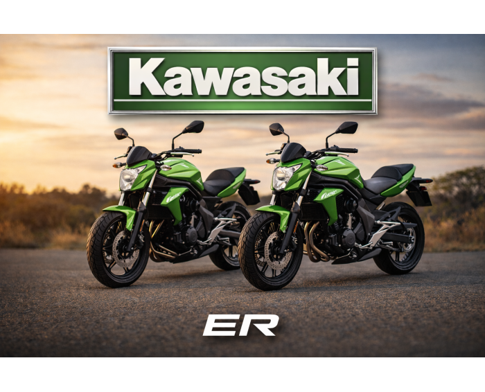 Kawasaki Series ER