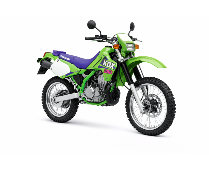 Kawasaki KDX 250