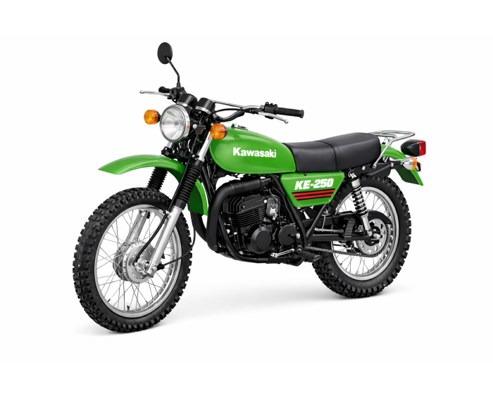 Kawasaki KE 250
