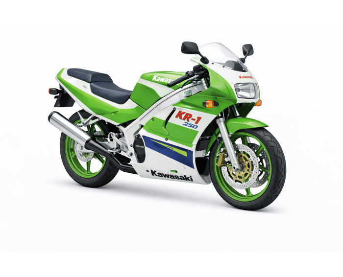 Kawasaki KR-1 250