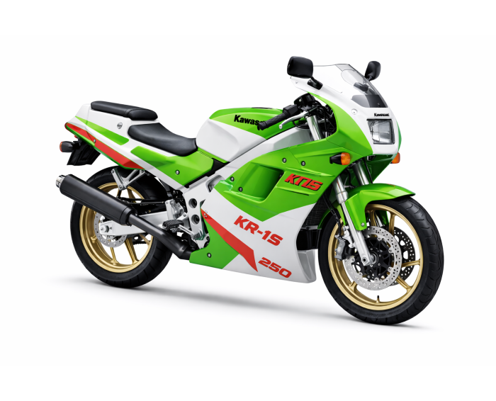 Kawasaki KR-1S 250