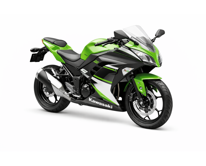 Kawasaki Ninja 300