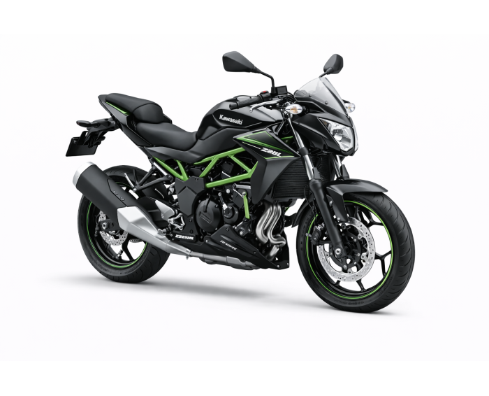Kawasaki Z250 SL