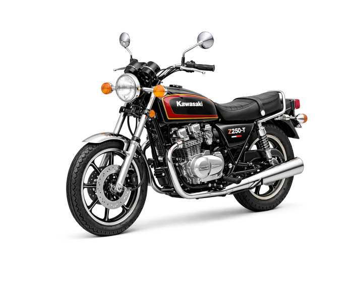 Kawasaki Z250 T