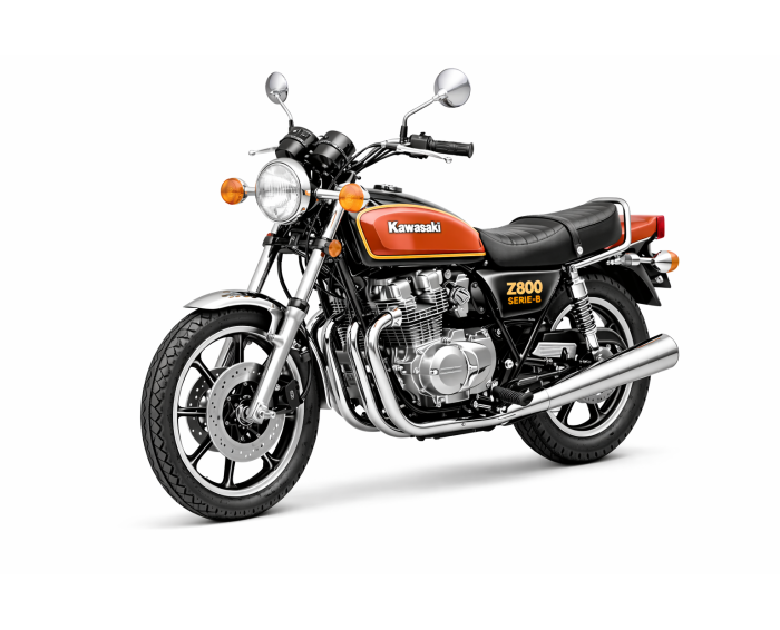 Kawasaki Z800 Serie B