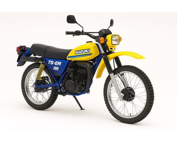 Suzuki TS-ER 100