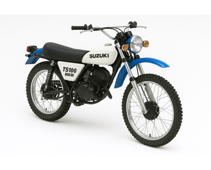 Suzuki TS 100