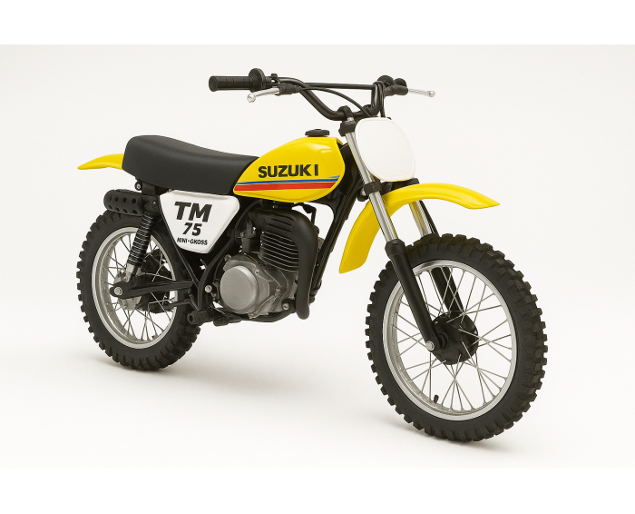Suzuki TM 75