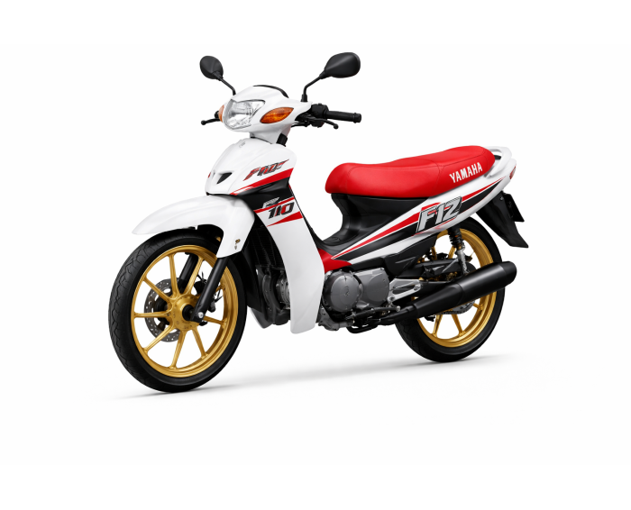 Yamaha F1-Z 110