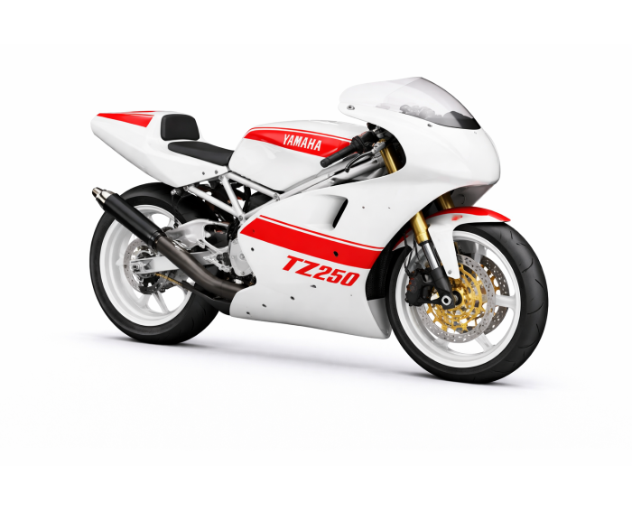 Yamaha TZ 250