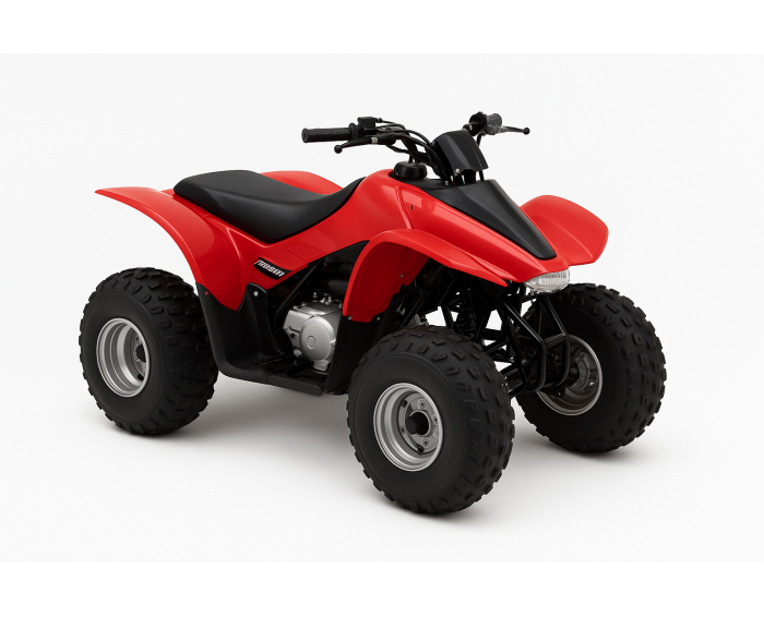 Honda TRX 90 Sportrax