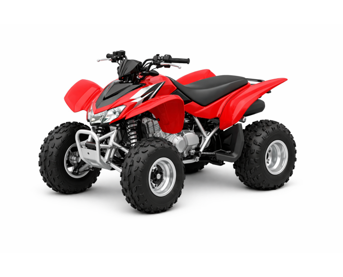 Honda TRX 250 EX
