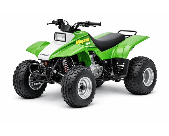 Kawasaki KFX 250 Mojave