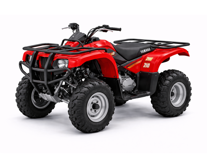 Yamaha Bruin 250