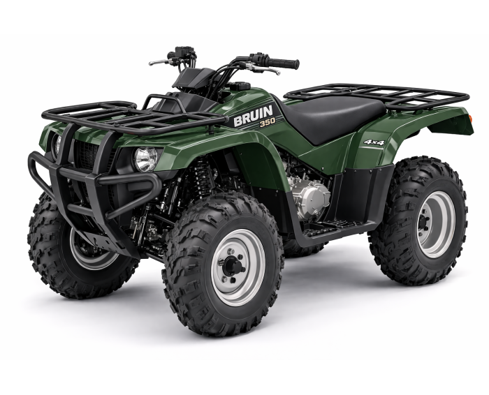 Yamaha Bruin 350