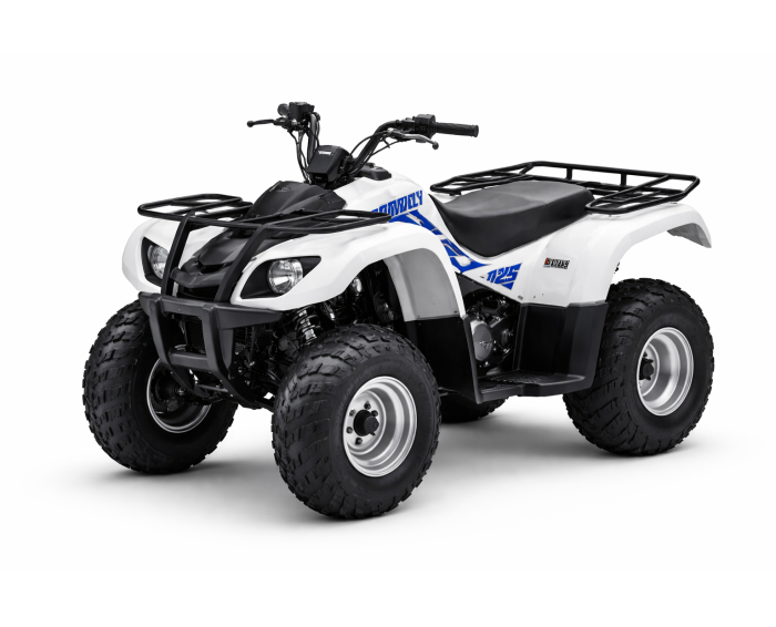 Yamaha Grizzly 125